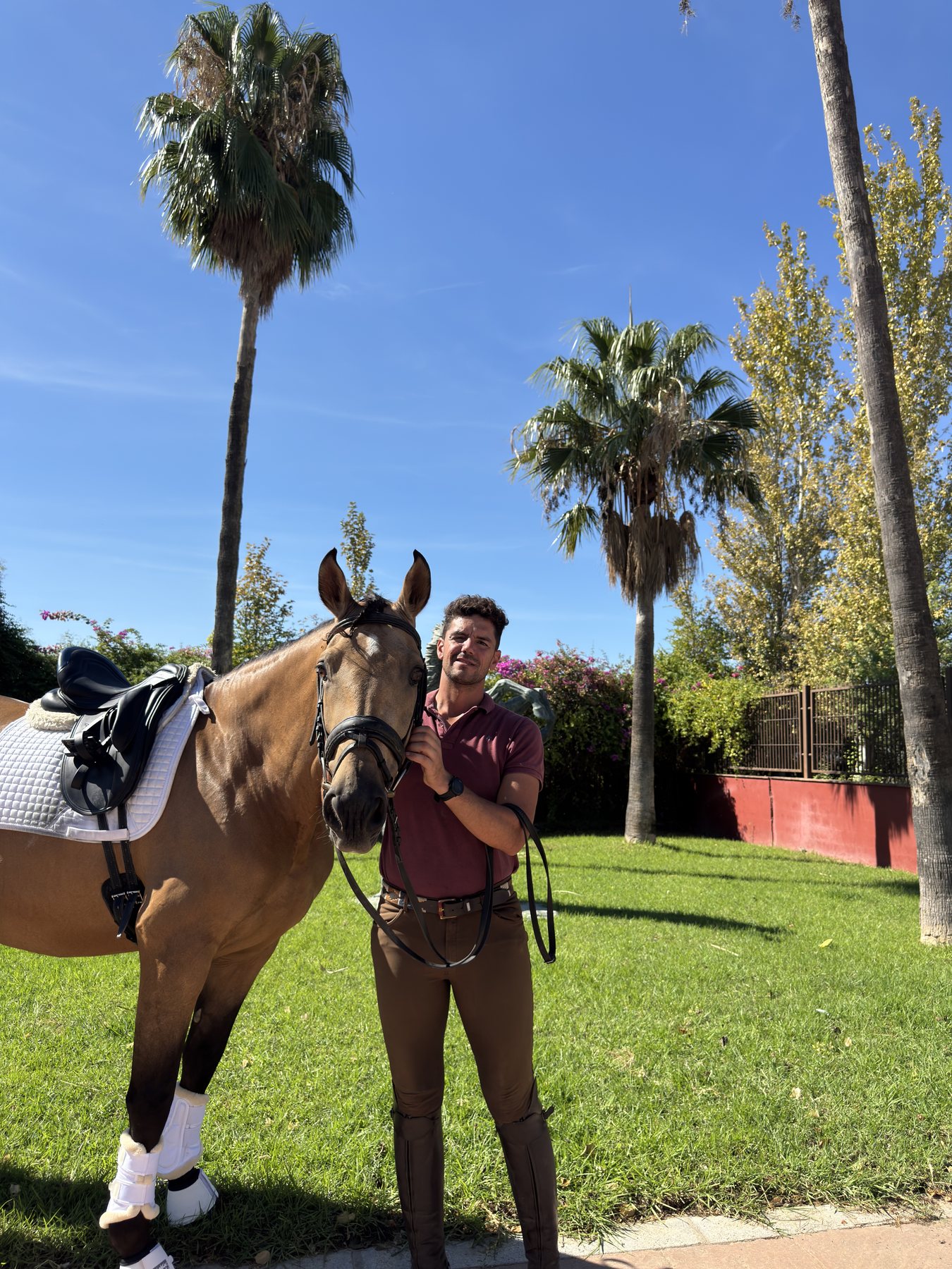 Padilla D'Ornellas, Lusitano Gelding