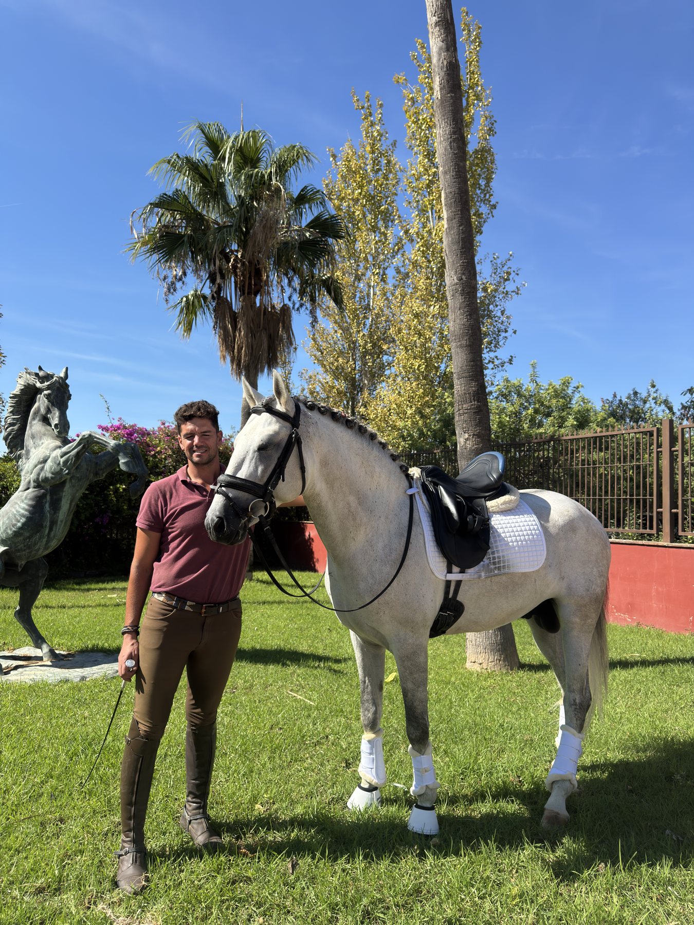 Zagal Aran, PRE Stallion